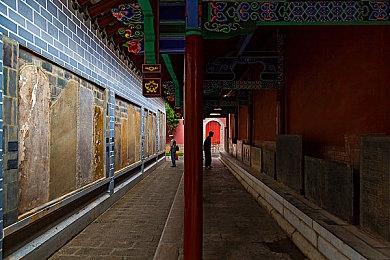 拆家模拟器《Doronko Wanko》明年登陆Switch