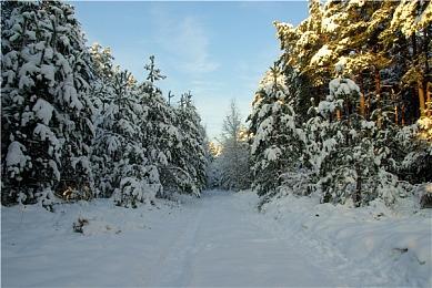 《Vindictus: Defying Fate》Steam上线 NEXON新动作RPG